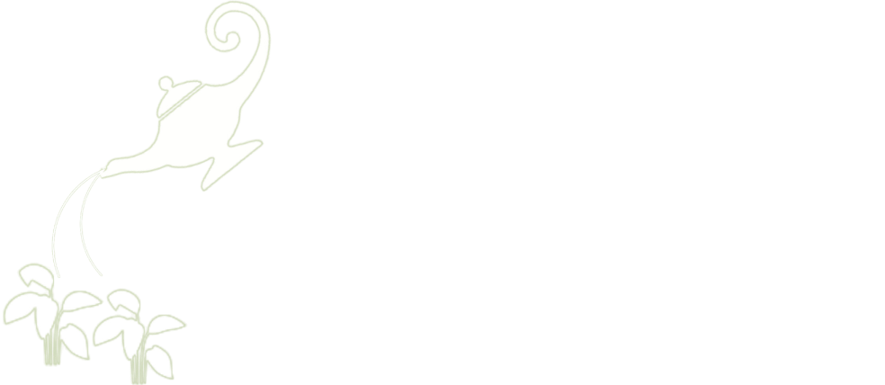 ParaGenius Foundation white logo on the green background - the lamp watering the plants - living water bread of life.
