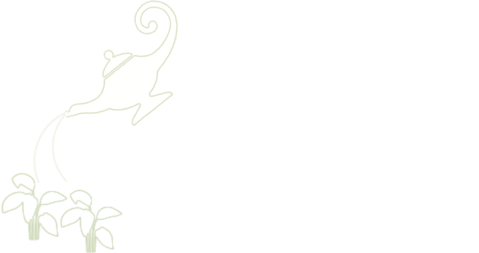 logo-paragenius-the-genie-lamp-watering-the-plants