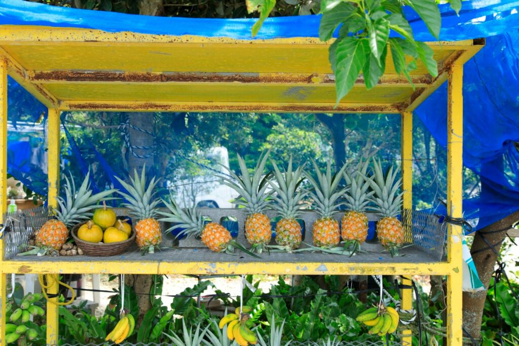 Colorful-Tropical-Fruit-Farm-Stand-Bright-Yellow-And-Blue