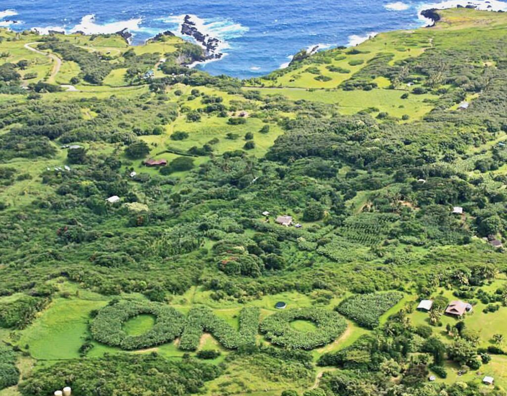 Ono-Farms-Aerial-Farm-Photo