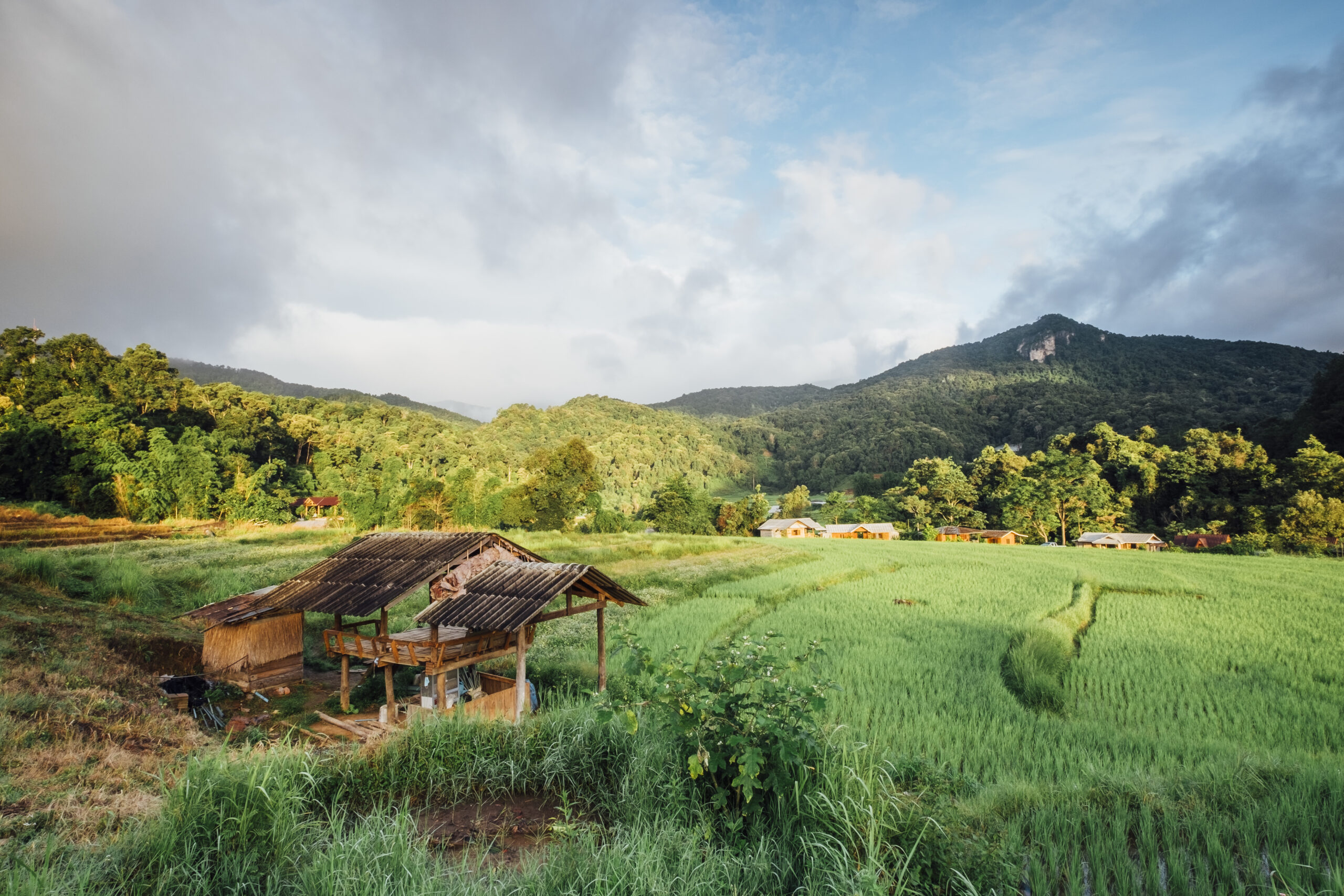 Tropical-Farm