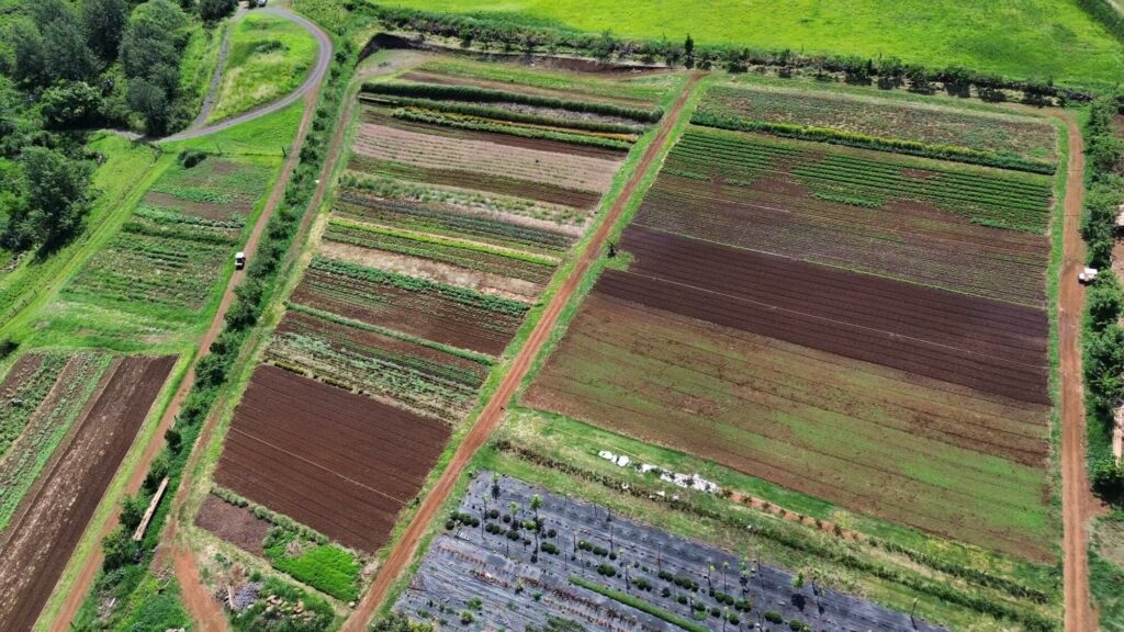 Aerial_Photo_Upcountry_Farm_Okoa_Farms