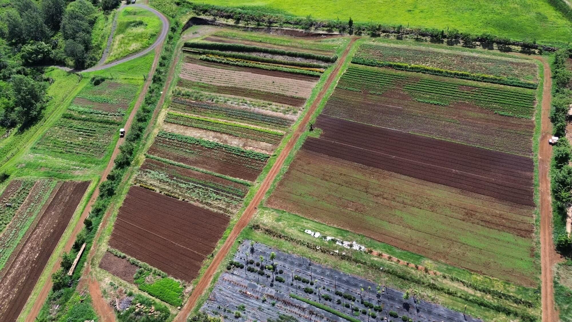 Aerial_Photo_Upcountry_Farm_Maui