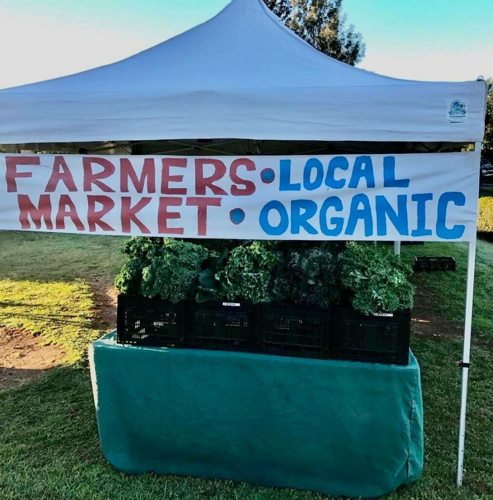 Okoa_Origin_Story_Farmers_Market